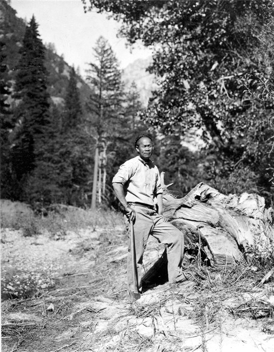 Tie Sing in Yosemite National Park